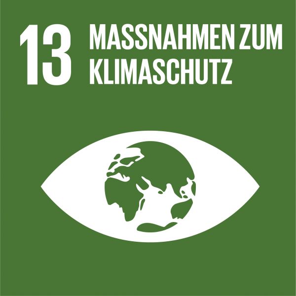 AGENDA 2030 17 ZIELE FÜR NACHHALTIGE ENTWICKLUNG . SDG 13: Maßnahmen zum Klimaschutz, Absorbest